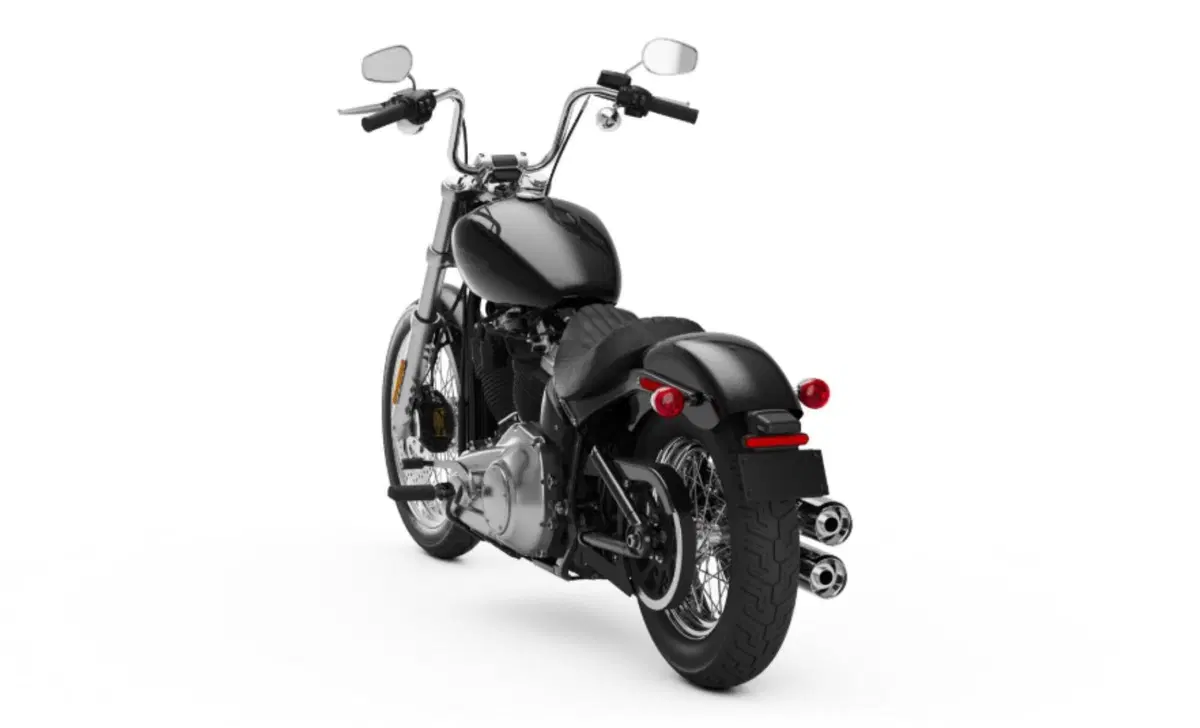 Harley-Davidson Softail Softail Standard (2020) - FXST (8)
