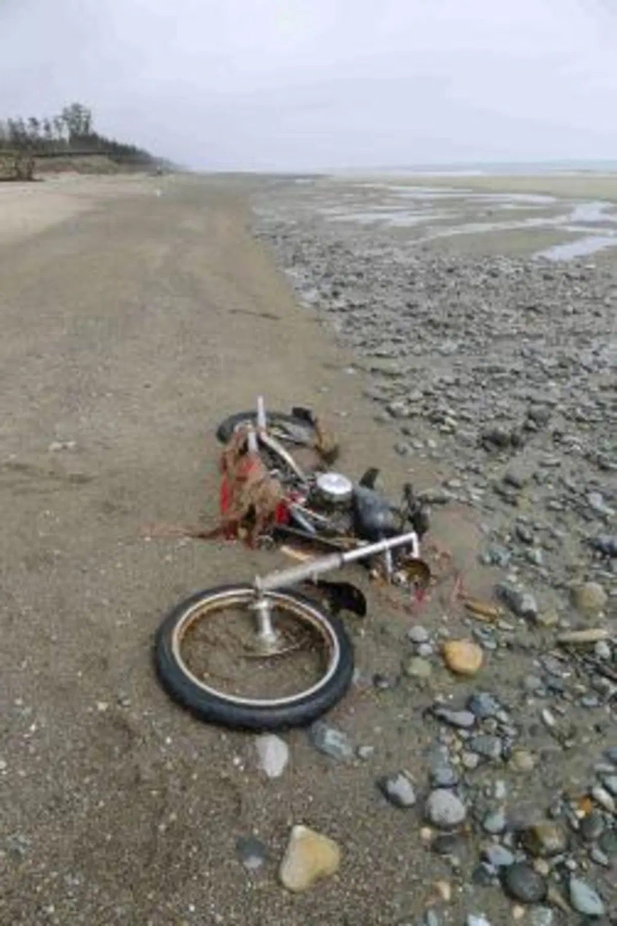 Spunta in Canada l'Harley spazzata via dallo tsunami in Giappone