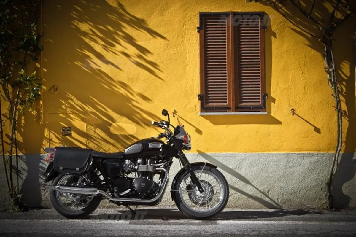 Triumph Classics  (59)