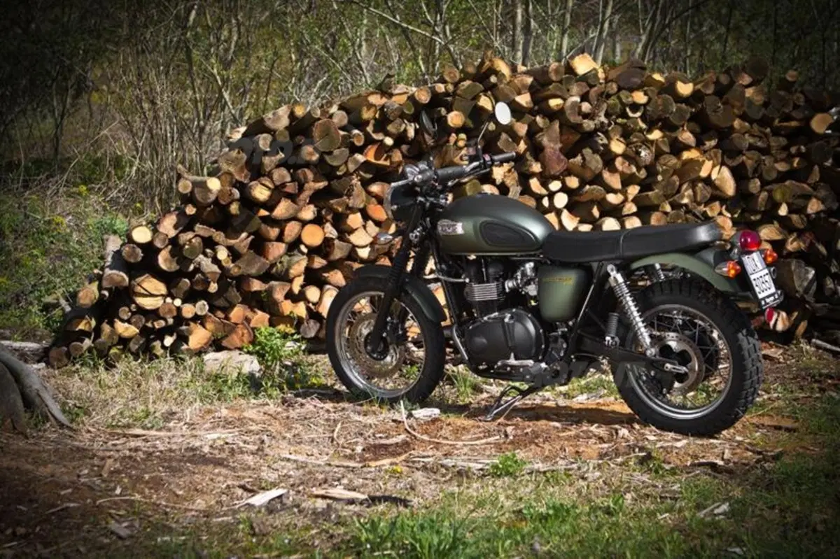 Triumph Classics  (67)