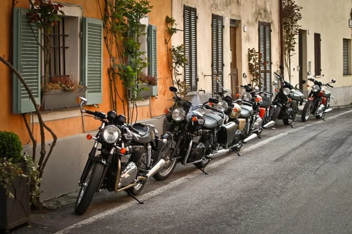 Triumph Classics  (75)