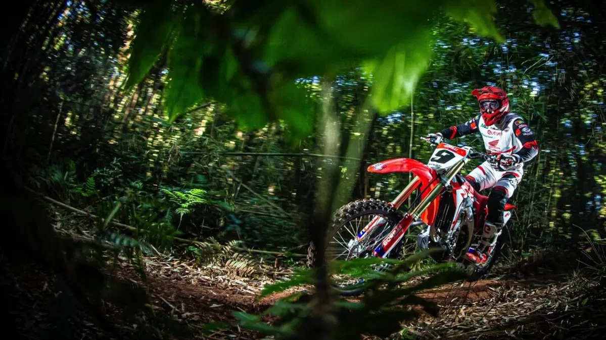 Borilli Racing – Part 3: Operazione Alex Salvini (3)