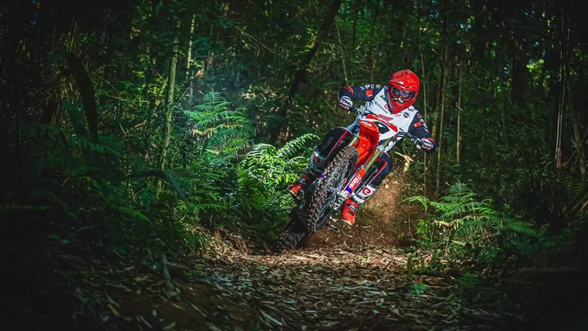 Borilli Racing – Part 3: Operazione Alex Salvini (5)