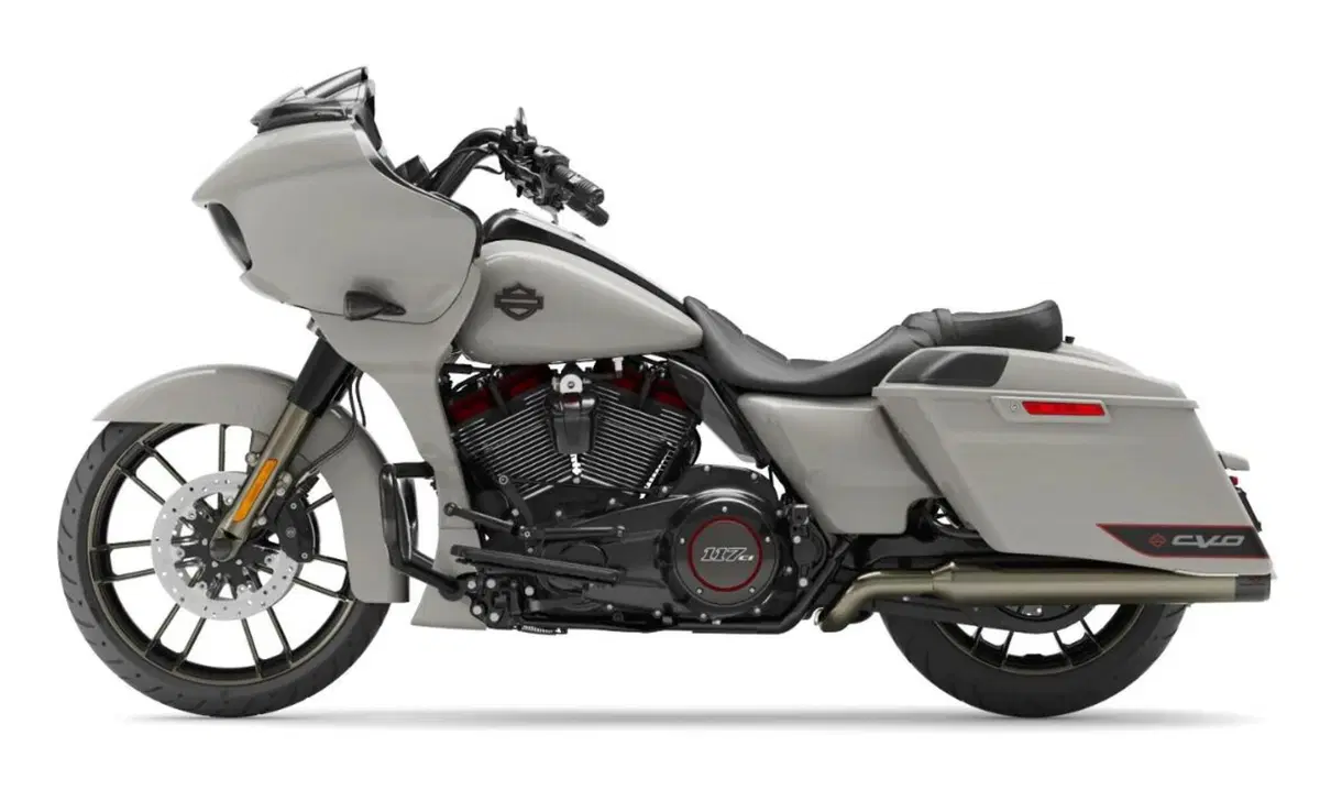 Harley-Davidson CVO - Custom Vehicle Operations 117 Road Glide (2020) (2)