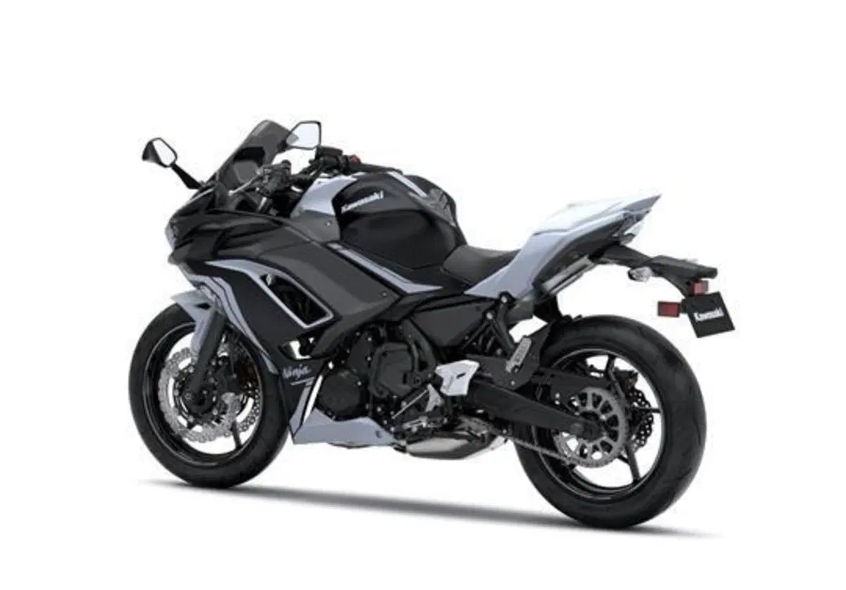 Kawasaki Ninja 650 Ninja 650 Performance (2020) (4)