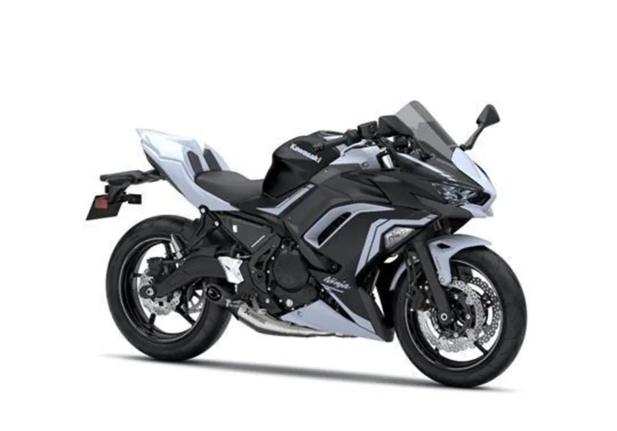 Kawasaki Ninja 650 Ninja 650 Performance (2020) (3)
