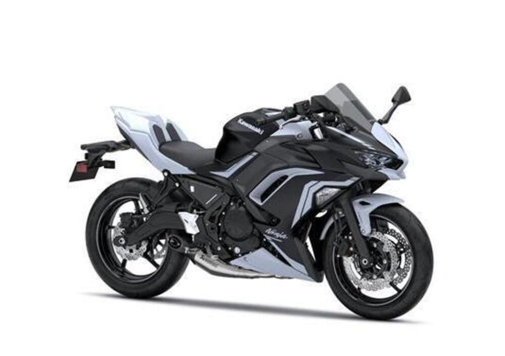 Kawasaki Ninja 650 Performance (2020) (3)