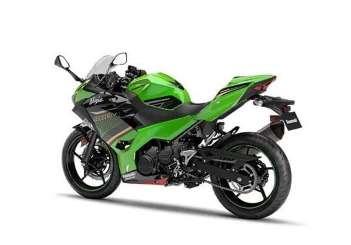 Kawasaki Ninja 400 Ninja 400 Performance (2020) (2)