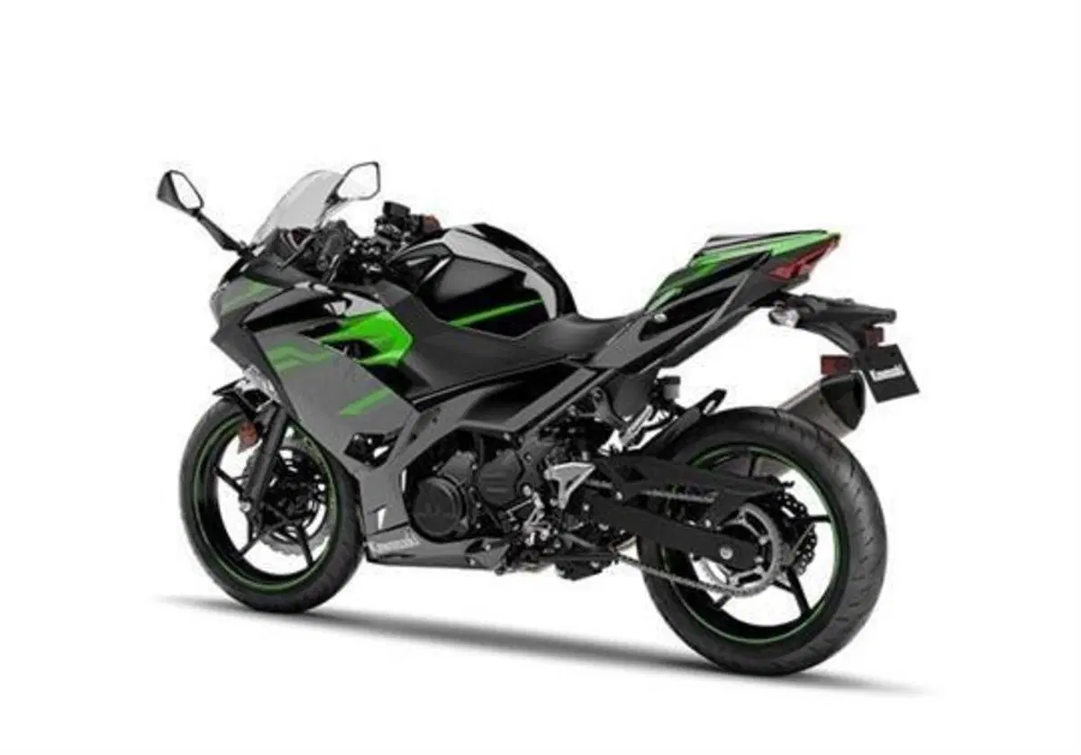 Kawasaki Ninja 400 Ninja 400 Performance (2020) (3)