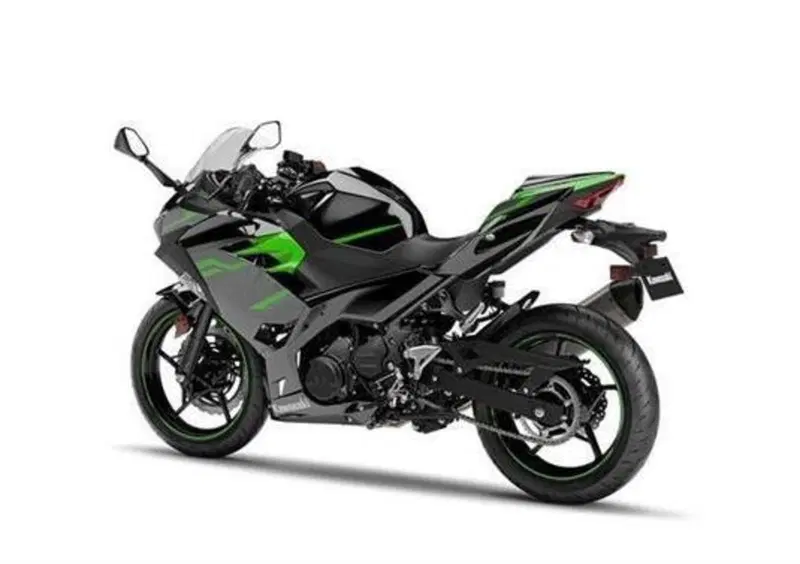 Kawasaki Ninja 400 Ninja 400 Performance (2020) (3)