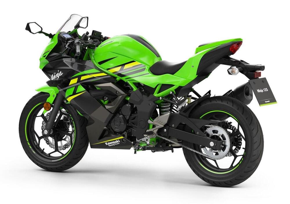 Kawasaki Ninja 125 Performance (2020) (4)