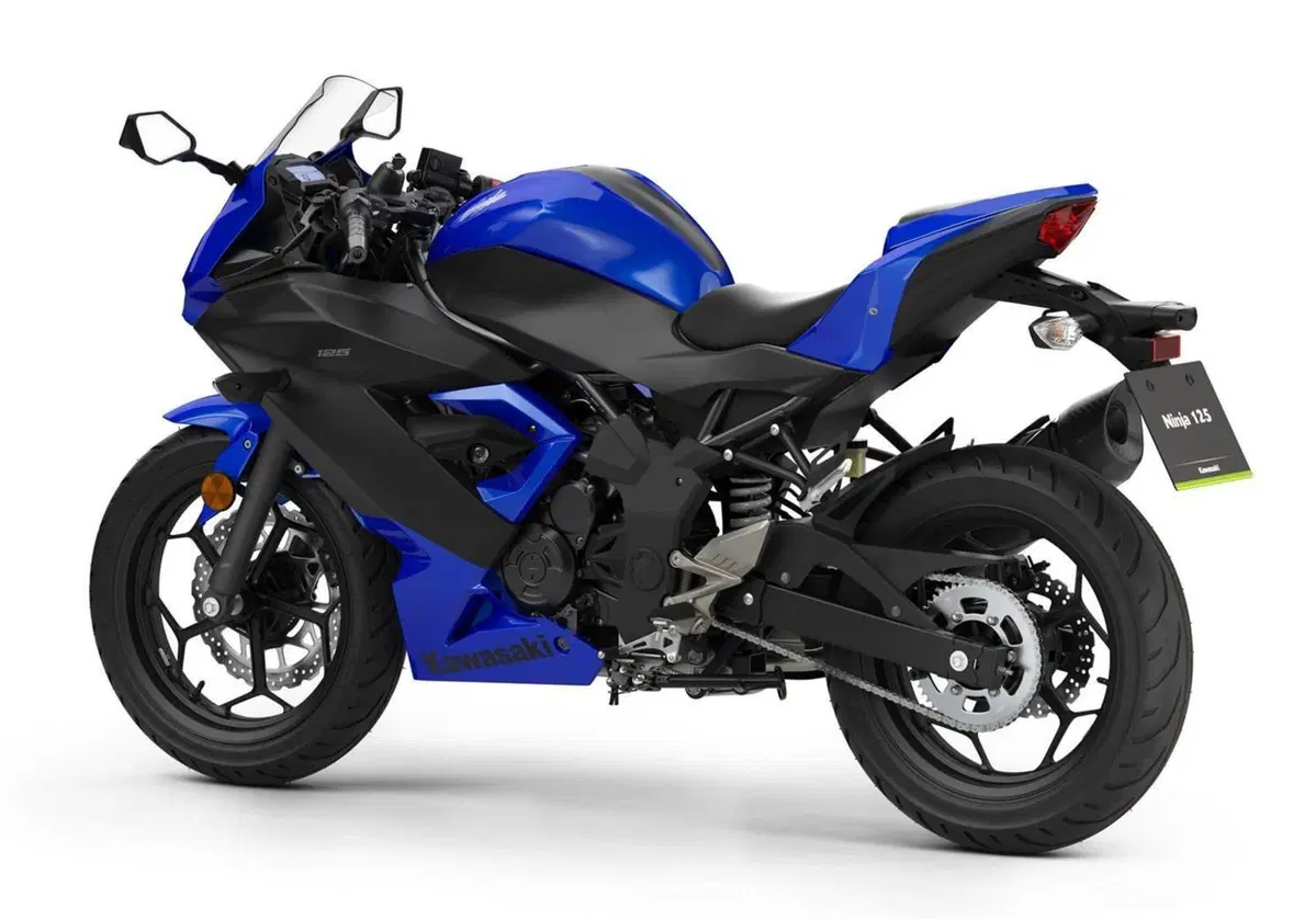 Kawasaki Ninja 125 Ninja 125 Performance (2020) (2)