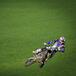 MX 2020. GP del Regno Unito a Matterley Basin. News e orari TV