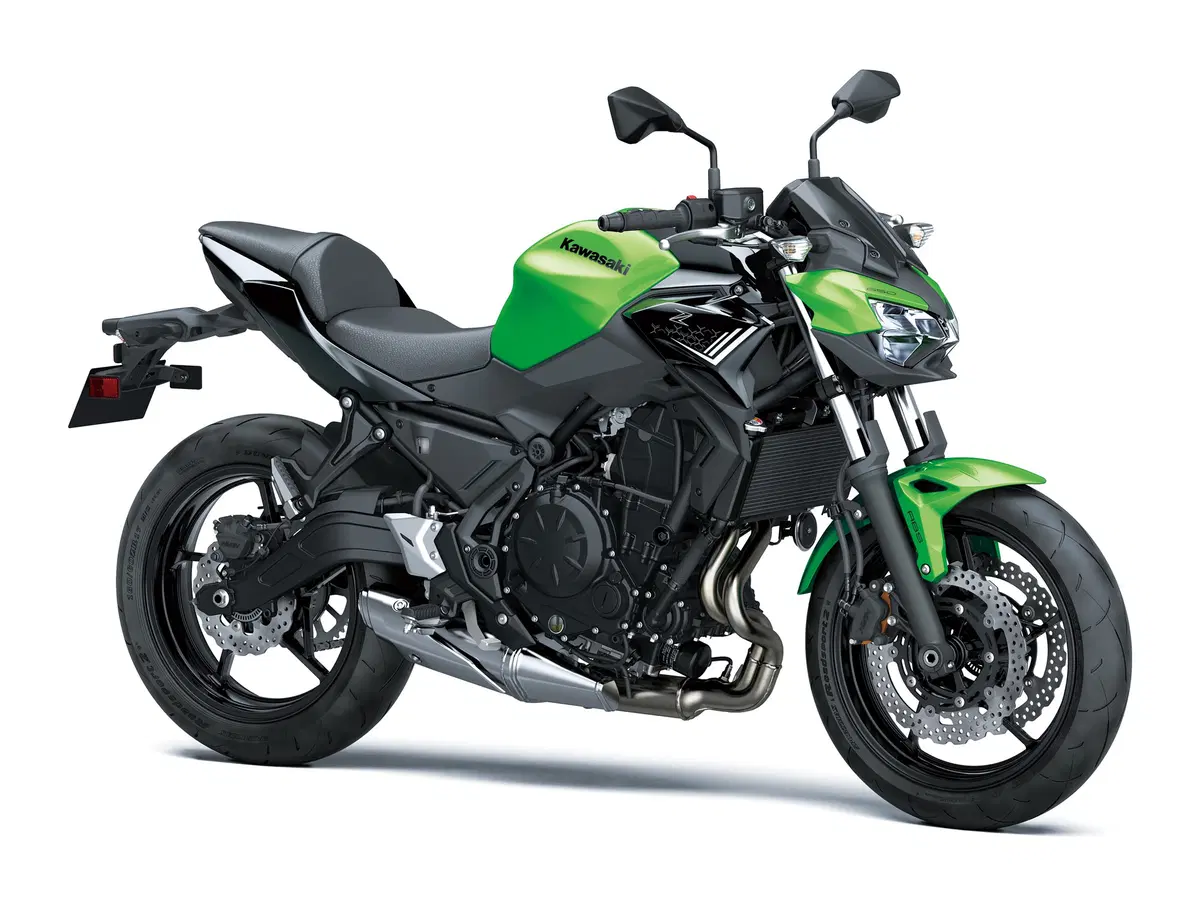 Kawasaki Z 650 Z 650 Performance (2020) (2)