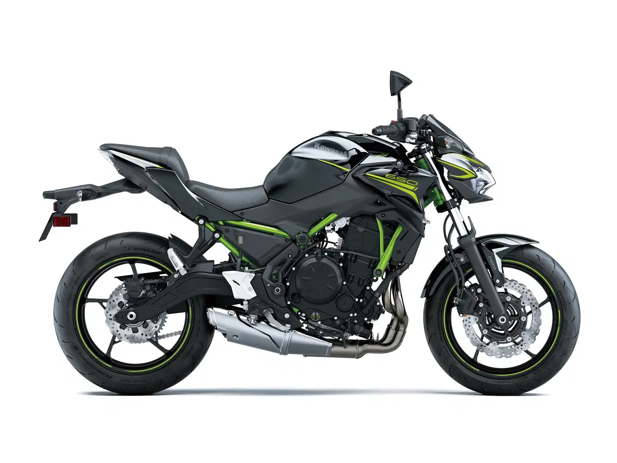 Kawasaki Z 650 Z 650 Performance (2020) (3)
