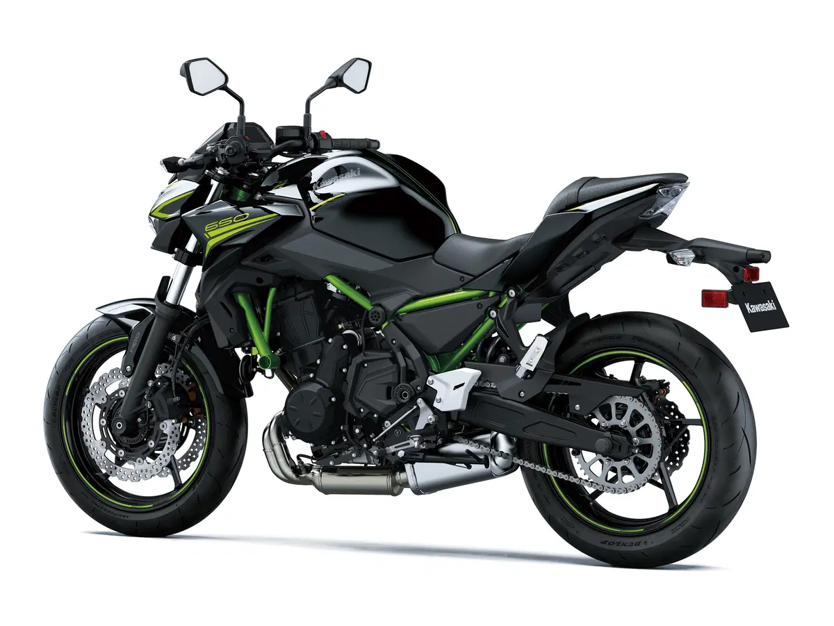 Kawasaki Z 650 Z 650 Performance (2020) (4)