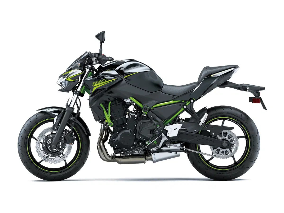 Kawasaki Z 650 Z 650 Performance (2020) (5)