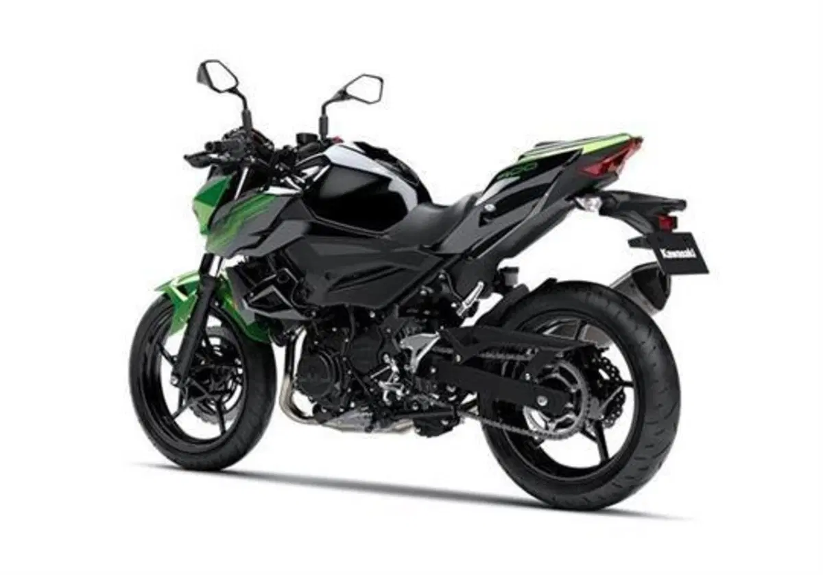 Kawasaki Z 400 Z 400 Performance (2020) (2)