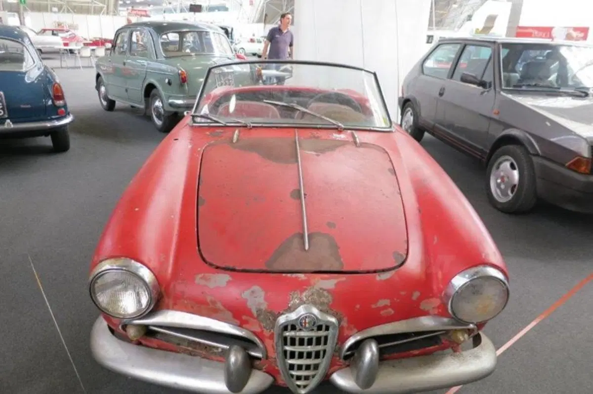 Le immagini più belle della mostra scambio di Novegro di maggio 2012 (68)