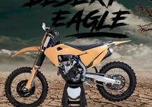 Acerbis Desert Eagle Kit