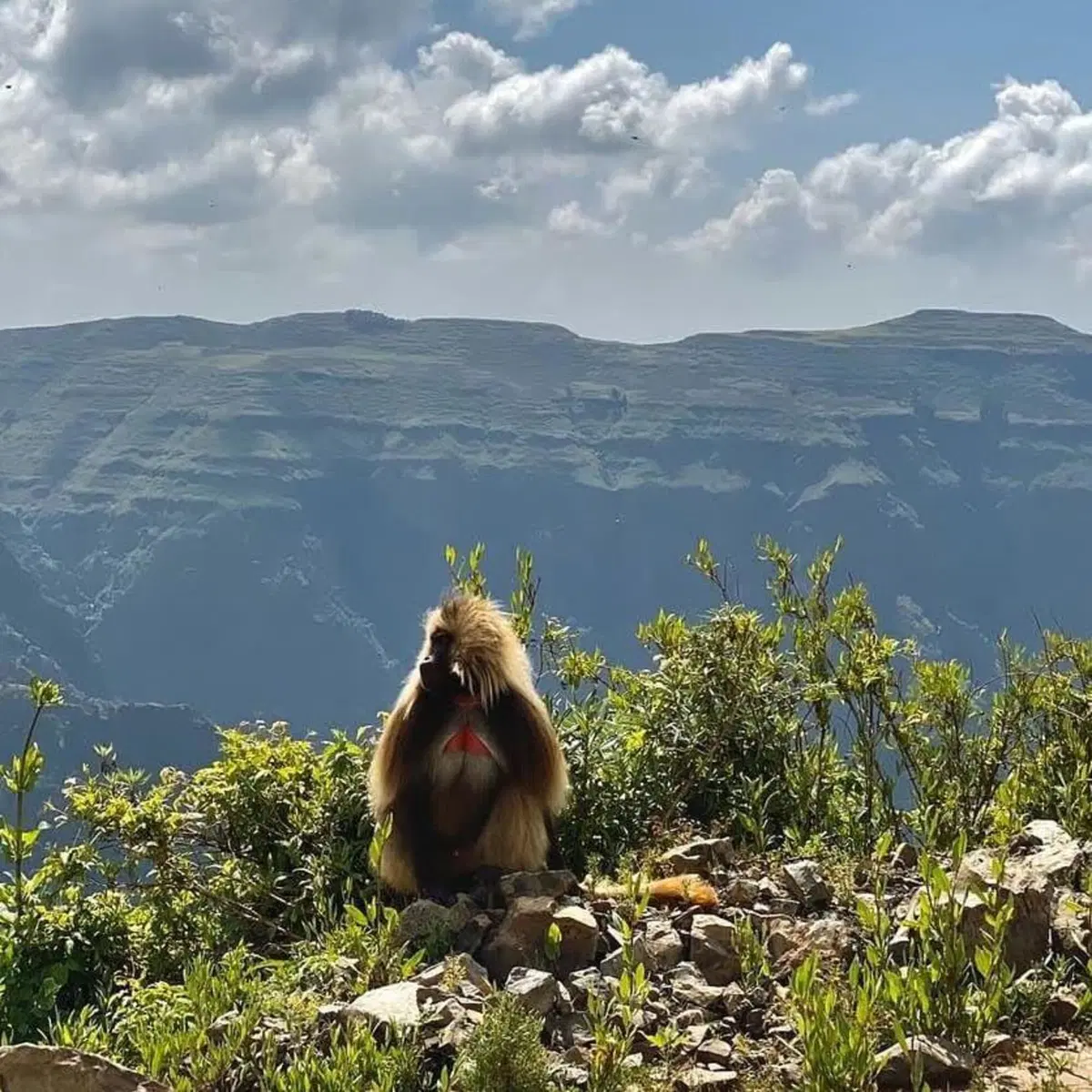 Etiopia in moto. Ed è subito Mal d'Africa. Prima puntata (4)