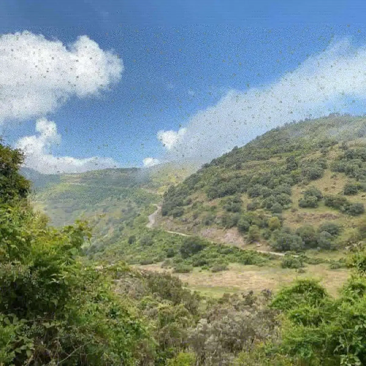 Etiopia in moto. Ed è subito Mal d'Africa. Prima puntata (5)