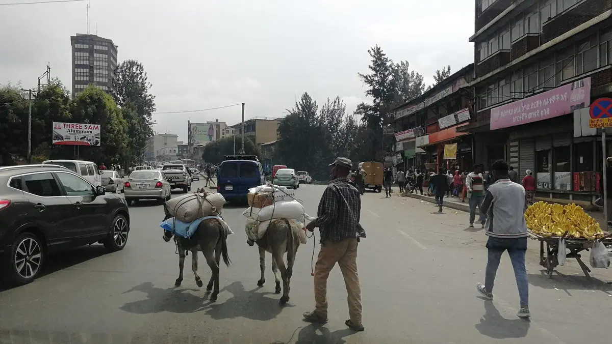 Etiopia in moto. Ed è subito Mal d'Africa. Prima puntata (14)