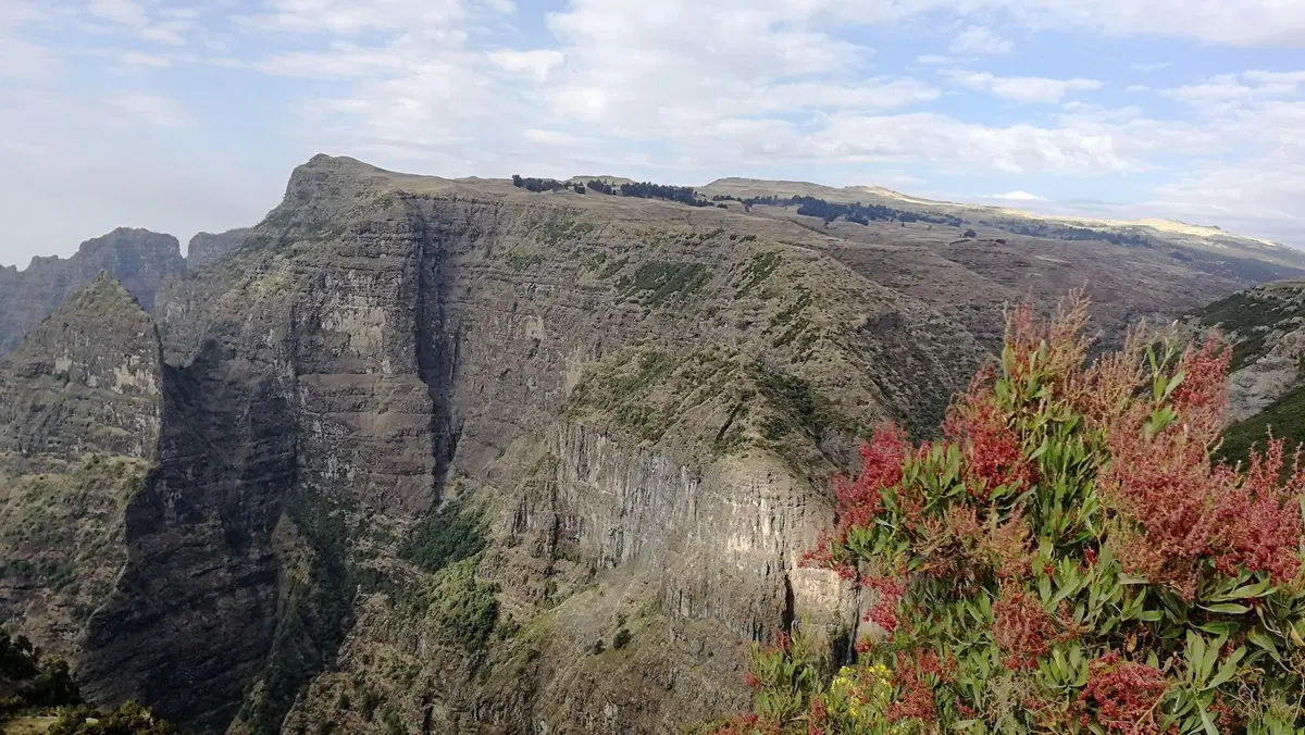 Etiopia in moto. Ed è subito Mal d'Africa. Prima puntata (5)