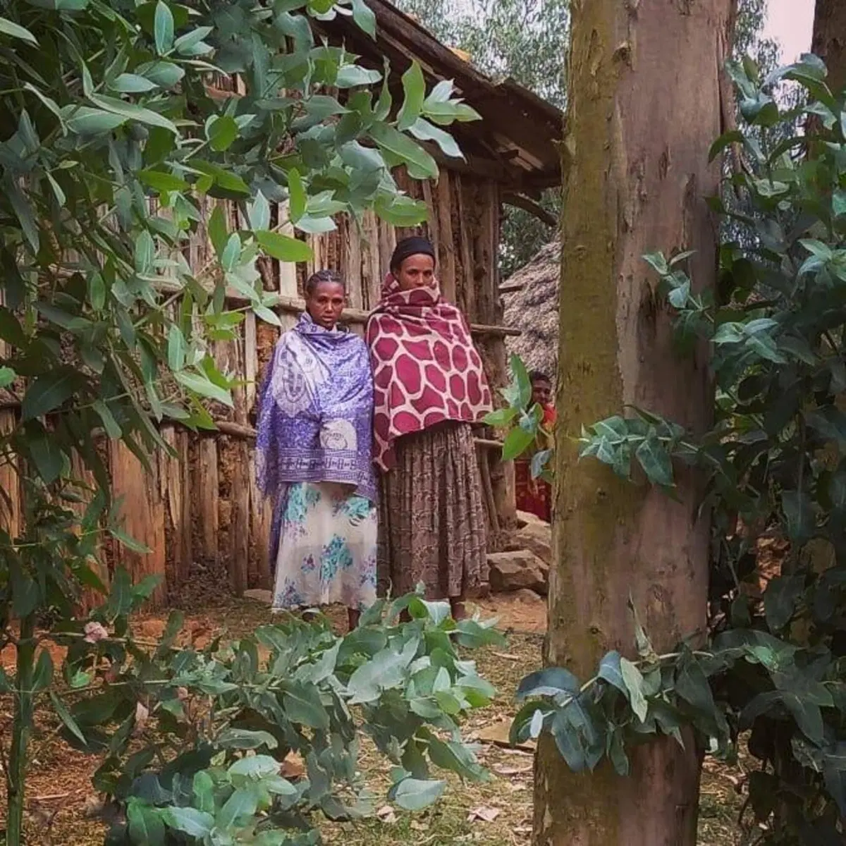 Etiopia in moto. Ed è subito Mal d'Africa. Prima puntata (6)