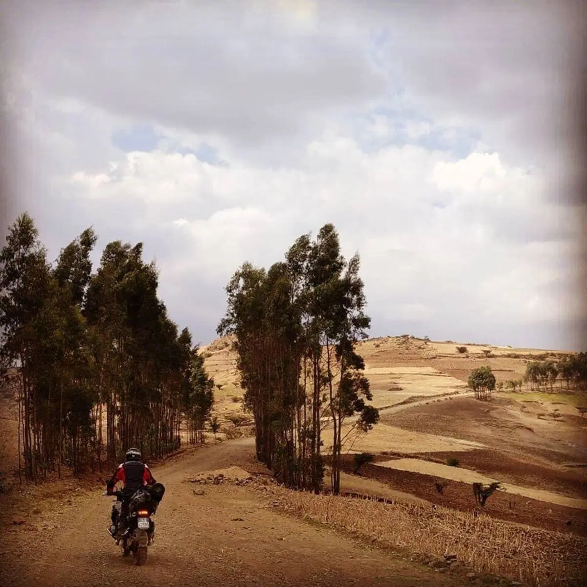Etiopia in moto. Ed è subito Mal d'Africa. Prima puntata (9)