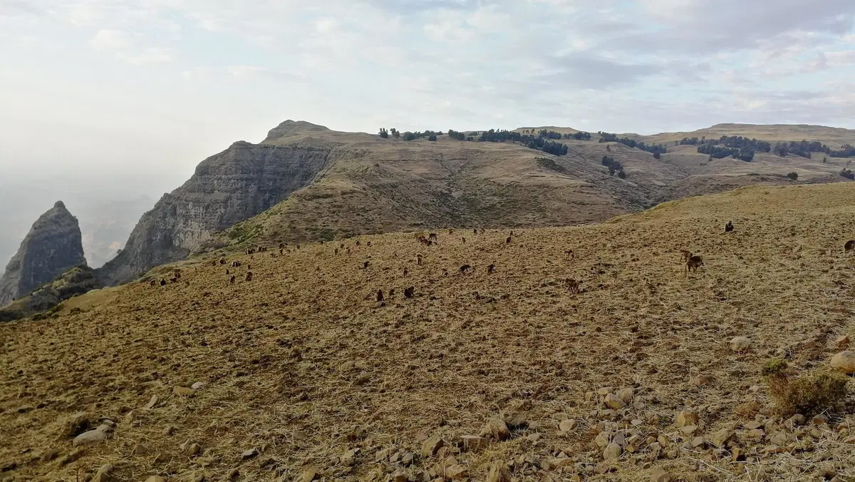 Etiopia in moto. Ed è subito Mal d'Africa. Prima puntata (17)