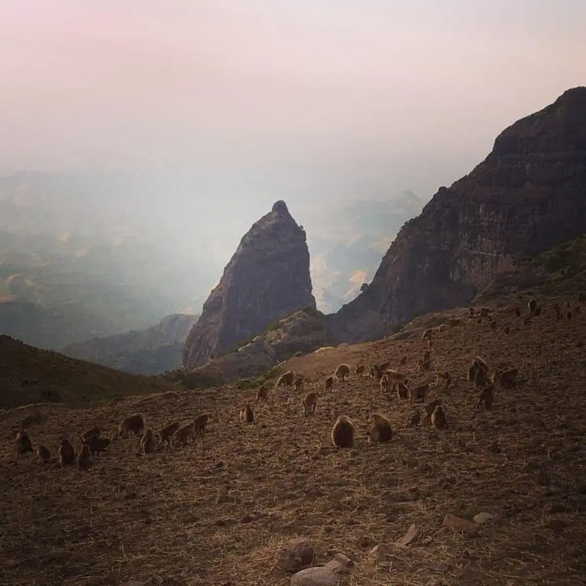 Etiopia in moto. Ed è subito Mal d'Africa. Prima puntata (6)
