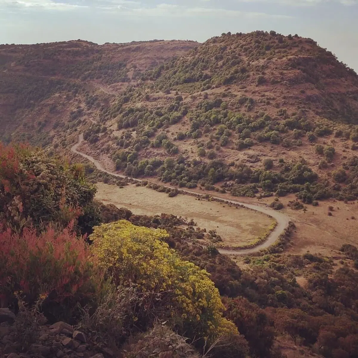 Etiopia in moto. Ed è subito Mal d'Africa. Prima puntata (11)
