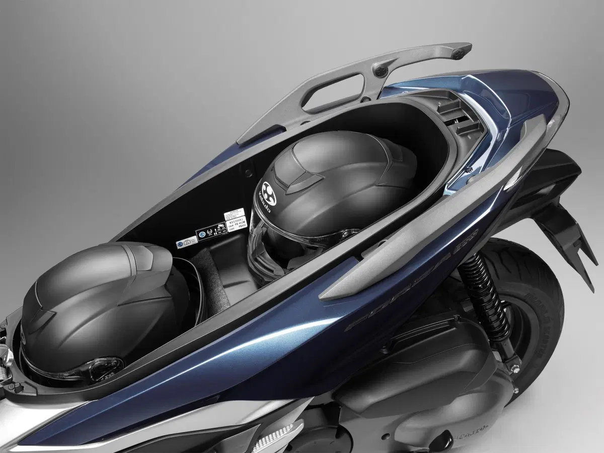 Honda Forza 300 Forza 300 Limited Edition ABS (2020) (9)