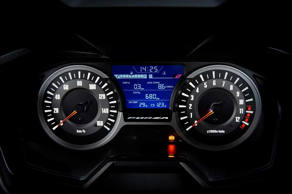 Honda Forza 300 Forza 300 Limited Edition ABS (2020) (15)