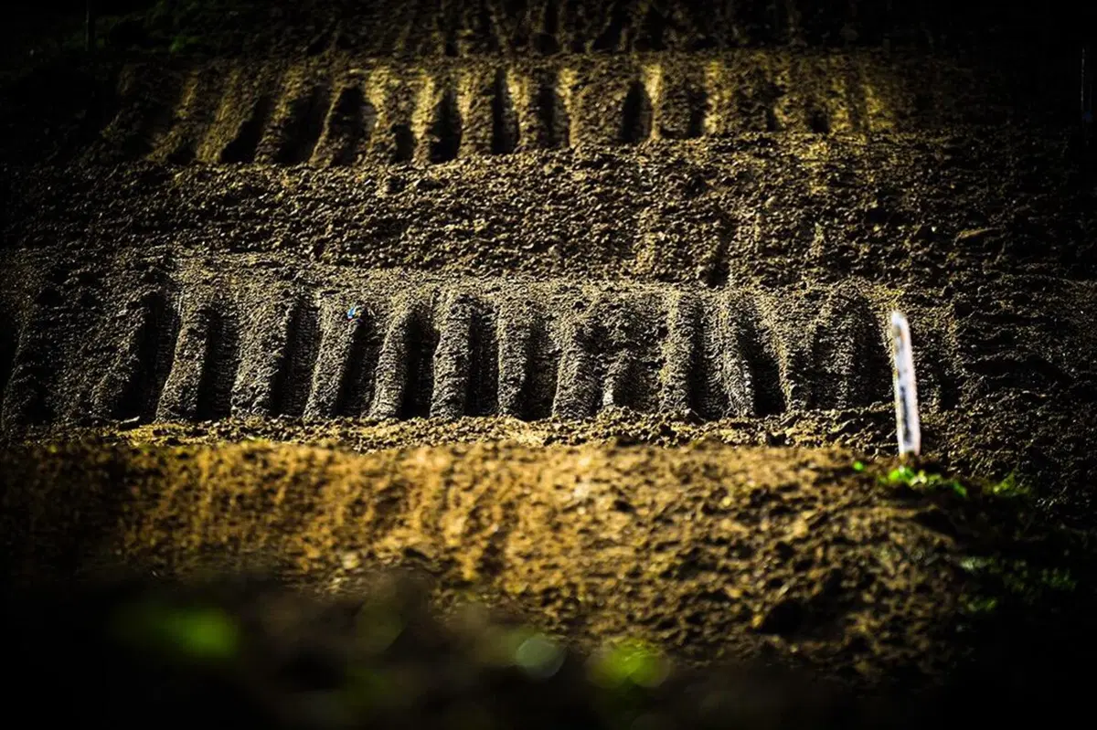 MXGP 2020: le immagini più belle da Matterley Basin (16)
