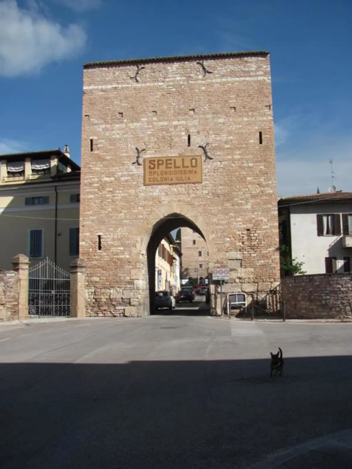 Storie di Motorally. Terza prova a Spello (5)