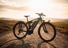 Canyon Pathlite:ON, l'eBike pensata per il cicloturismo (anche offroad)