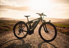 Canyon Pathlite:ON, l'eBike pensata per il cicloturismo (anche offroad)