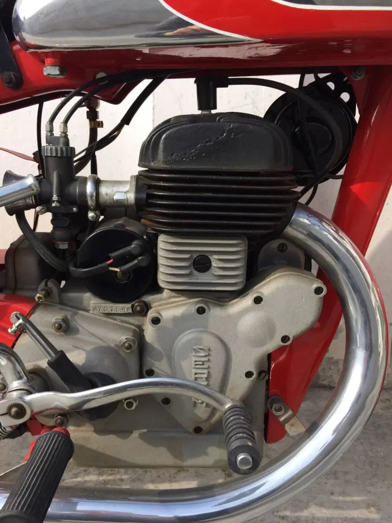 Sertum 250 VL 4 (5)