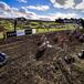 MX 2020. GP d’Olanda a Valkenswaard. News e orari TV