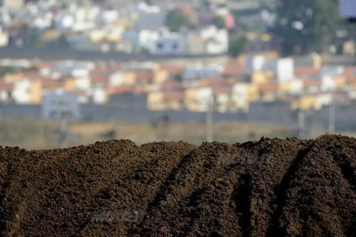 Motocross. Le foto più belle del GP del Messico (23)