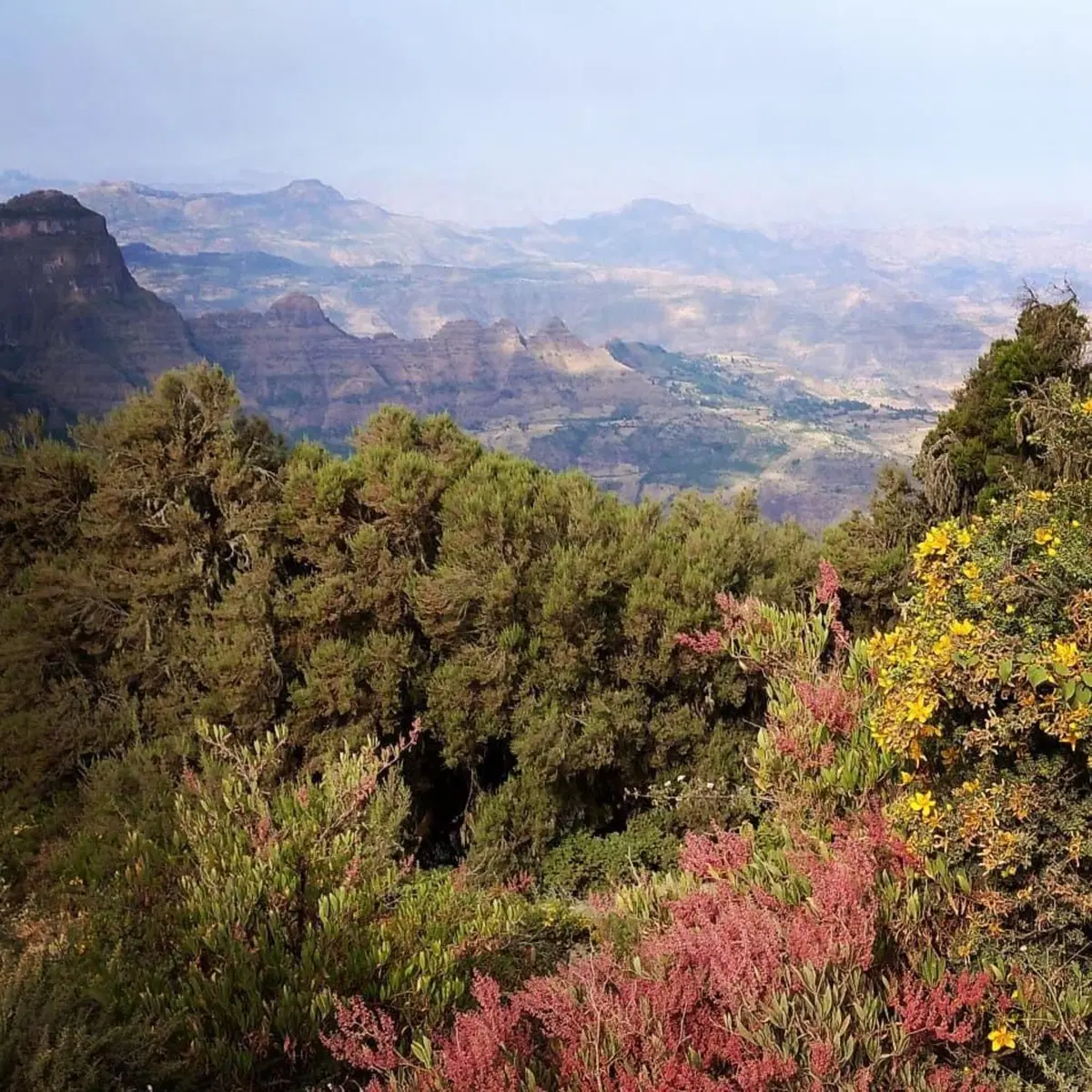 Etiopia in moto: alla scoperta del Tigrai e del miracolo di Suor Laura - Seconda puntata (8)