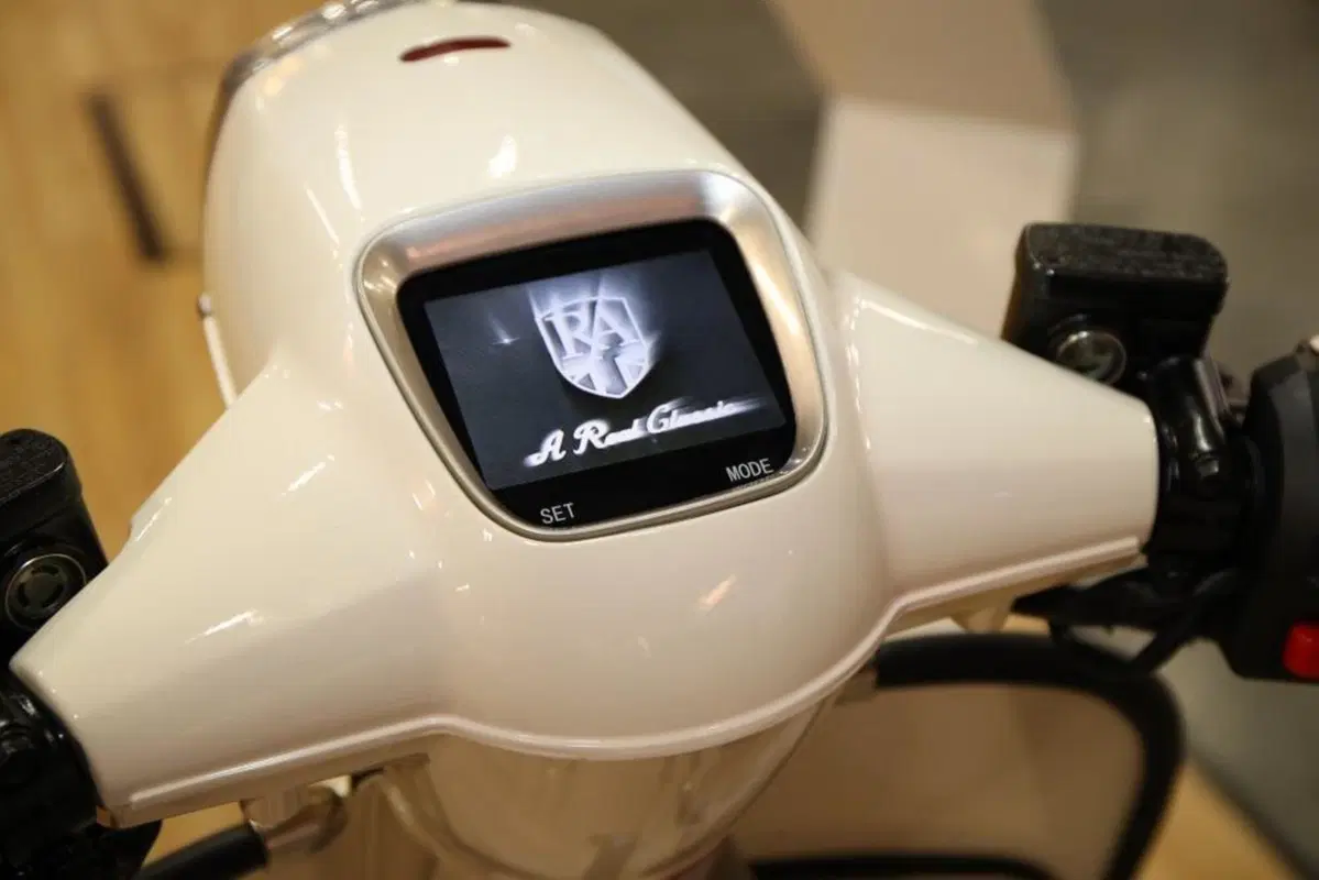 Royal Alloy TG 125 TG 125 (2020) (6)