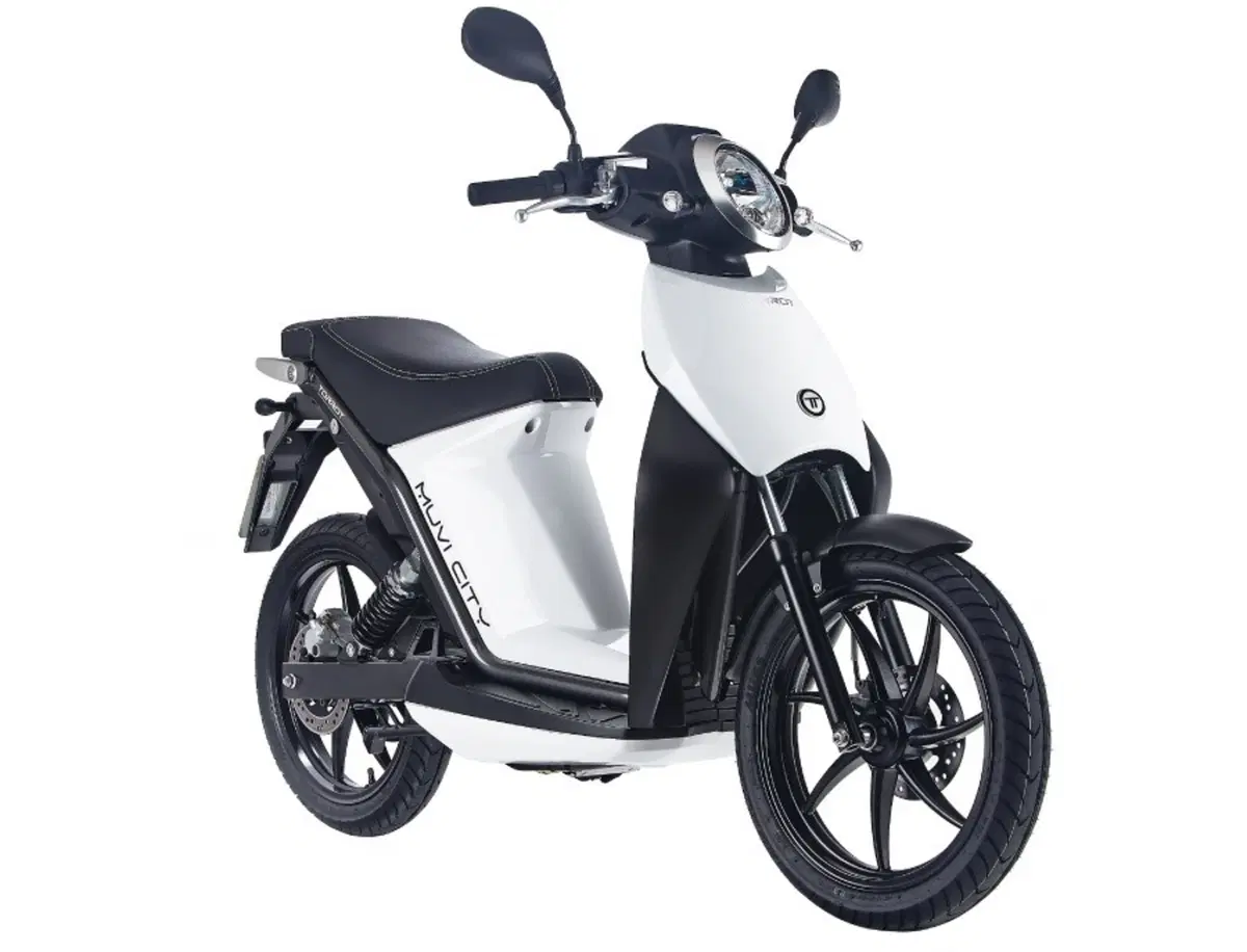 Torrot Muvi Muvi L1e (2018 - 20) (2)