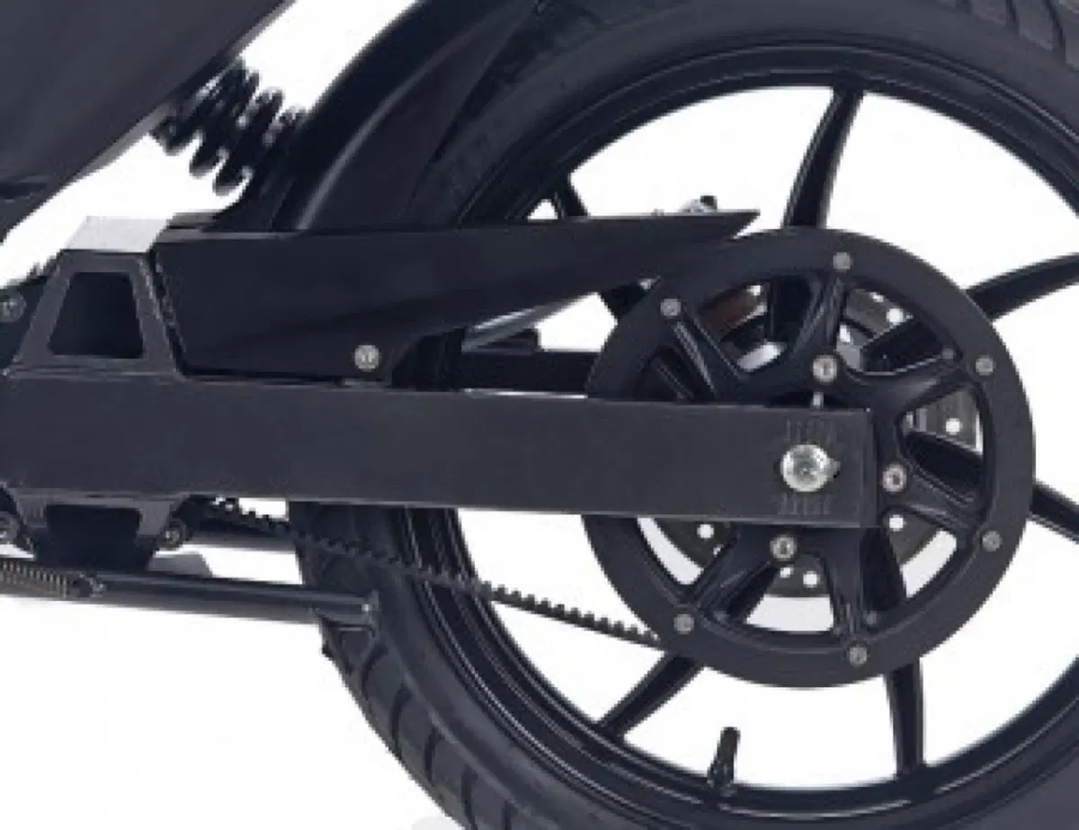 Torrot Muvi Muvi L1e (2018 - 20) (8)