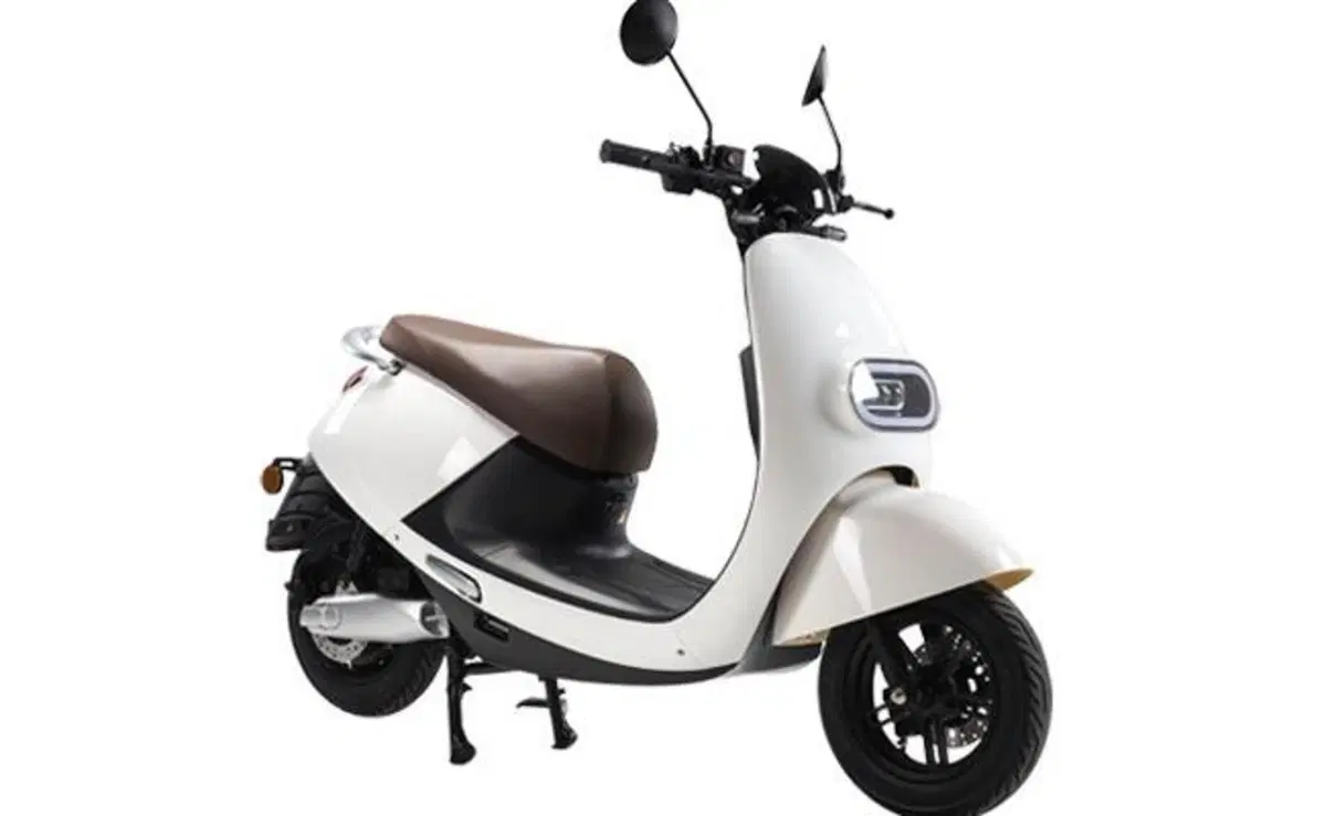 Wayel W2 W2 (2020 - 26) (2)