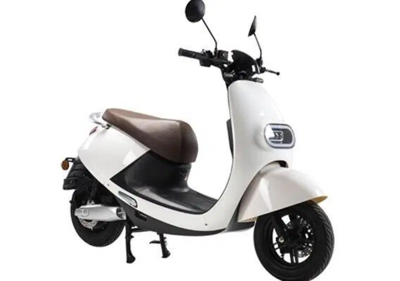 Wayel W2 W2 (2020 - 26) (2)