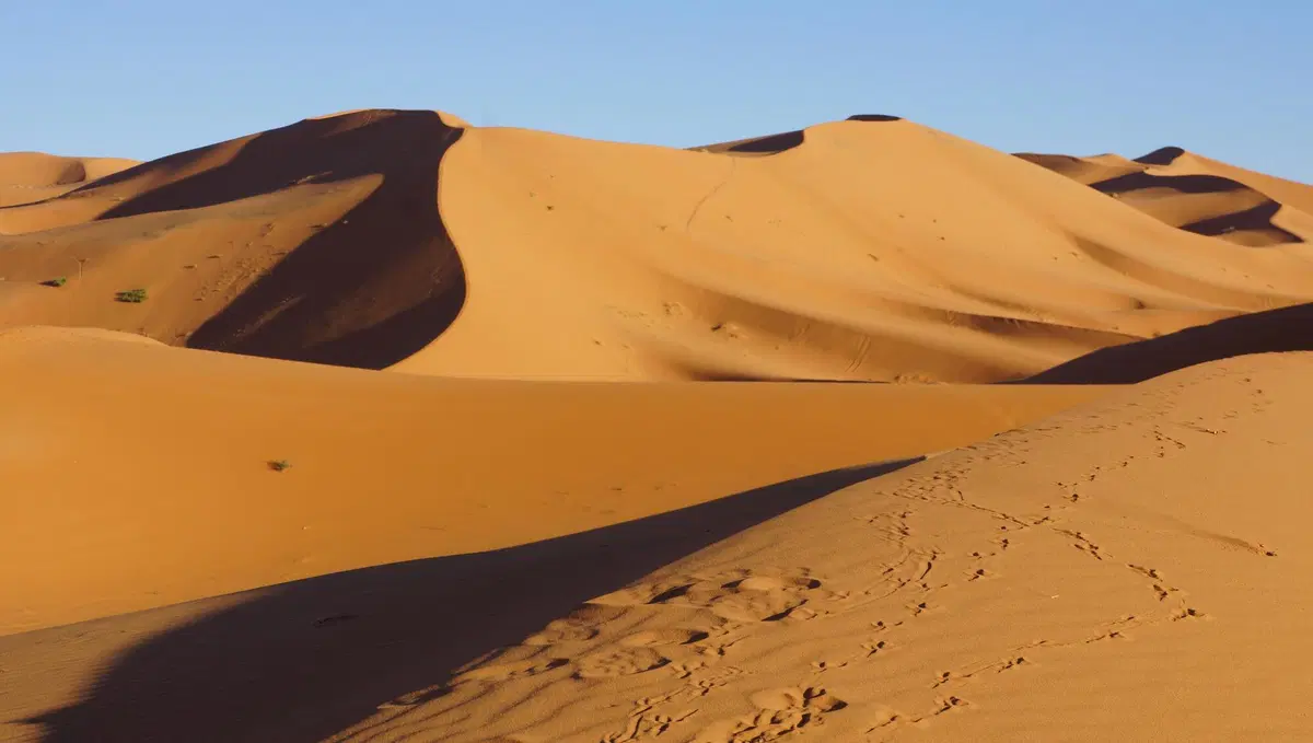 Renato Zocchi e le traversie di due giorni per rientrare dal Marocco (2)