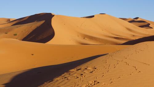 Renato Zocchi e le traversie di due giorni per rientrare dal Marocco (2)